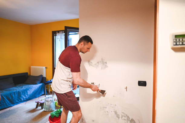 Best Industrial Mold Remediation in San Diego Country Estates, CA